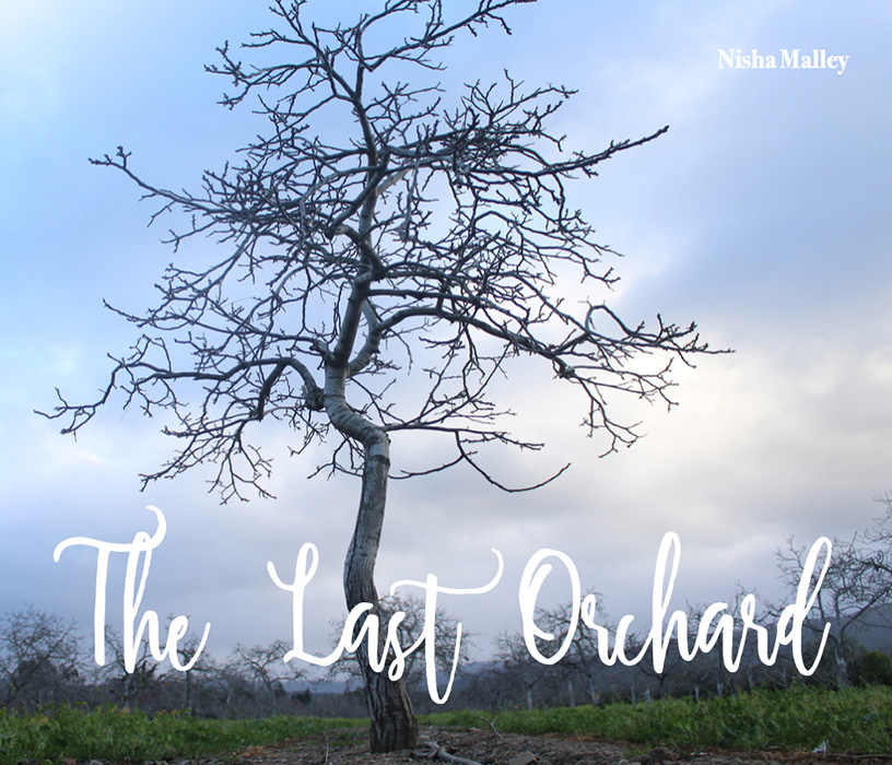Book by Nisha Malley